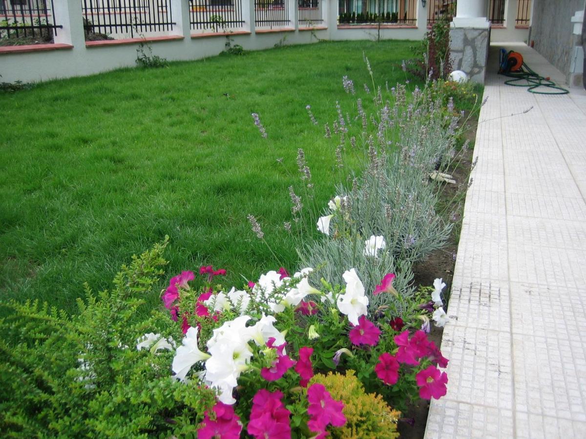 Chateau Del Mar Holiday Apartments Sunny Beach Eksteriør billede